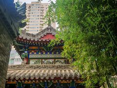 -罔极寺