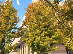 -清华大学艺术博物馆