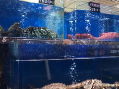 水产区-河马鲜生海鲜超市(风荷园店)