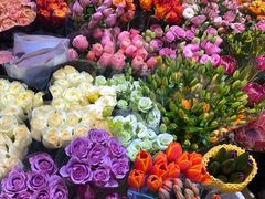 -双季花艺园艺市场(浦东店)