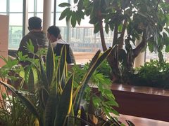 -Seesaw Coffee(朝阳大悦城店)