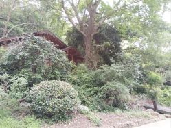 -尚圣月子会所·庄园式月子中心(萧山湘湖店)
