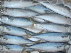 -大连双兴商品城