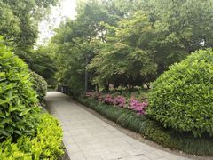 -杭州城北体育公园