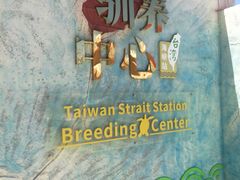 -广东惠东海龟国家级自然保护区
