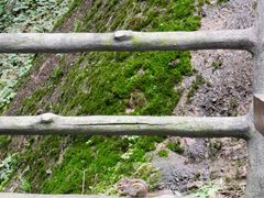 -江西龙虎山景区