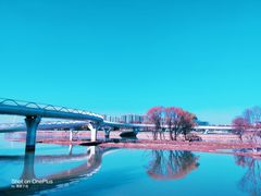 -灞河西岸滨河公园