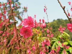 -白水带风景区体育公园