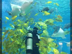 iphone_upload_pic-常州海昌海洋探索馆