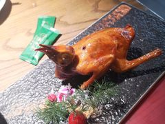 -大鸽饭(岗顶店)