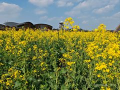 -中国天府农业博览园