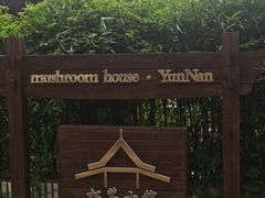 -松茸小馆·云南特色餐厅