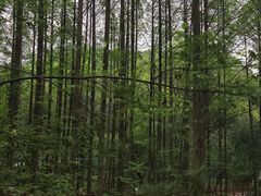 -都江堰景区