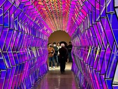 -旧金山现代艺术博物馆