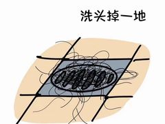 -中国农业大学(西校区)