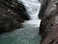 -广州白江湖森林公园