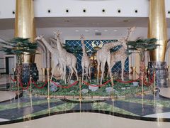 -灵玲国际马戏城