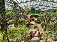 -呀路古热带植物园
