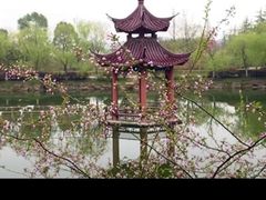 -冶父山国家森林公园