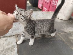 -李叔同故居纪念馆