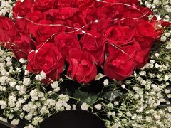 -西湖春天(中州店)