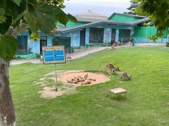 -西霞口神雕山野生动物世界