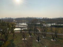 -白鹭湾湿地公园