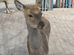 -水上乐园·欢乐世界