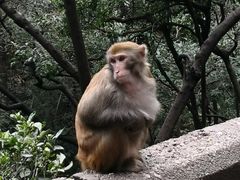-黔灵山公园