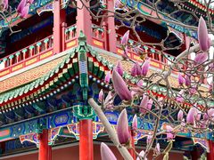 -天津大悲禅院