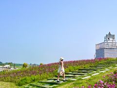 -空港花田景区