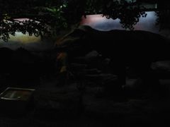 恐龙公园-国家自然博物馆