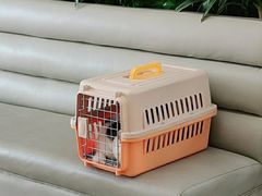 -美联众合动物医院·24h转诊中心