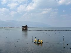 -洱海月湿地公园