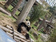 -武汉动物园
