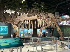 -国家自然博物馆