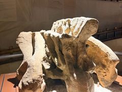 -世界恐龙谷景区