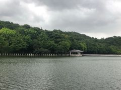 -西樵山风景名胜区-天湖公园