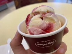 -哈根达斯(石家庄北国店)
