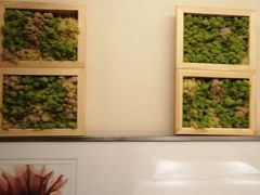 -无锡华怡明都大酒店
