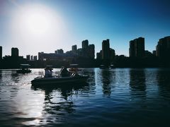 -青枫公园