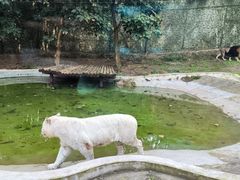 -乐和乐都主题乐园