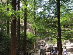 -国家植物园南园