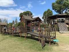 -上海长兴岛郊野公园