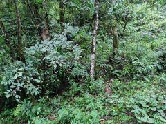 -西岭雪山大飞水景区