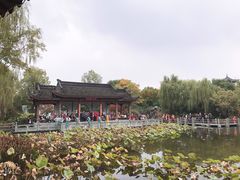 -武汉园博园(武汉自然博物馆)