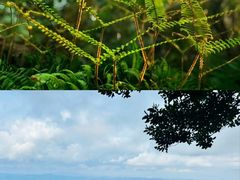 -梧桐山风景名胜区