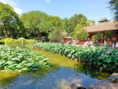 -恭王府博物馆