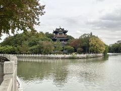 -范蠡湖公园