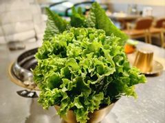 生菜苏子叶拼盘-炉队长·齐齐哈尔家庭烤肉(马家堡店)